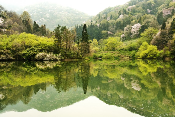 magical places in korea