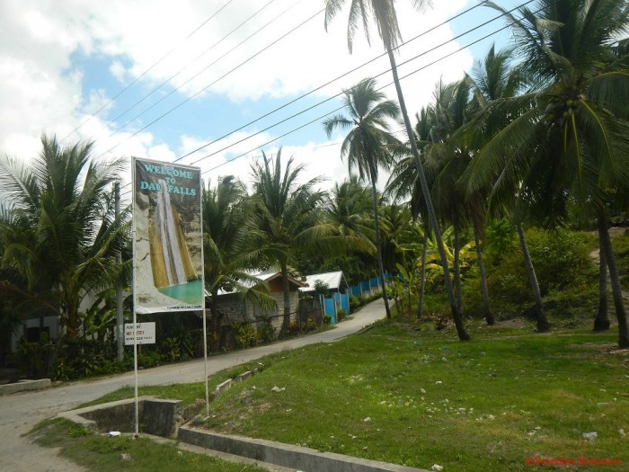 dau
