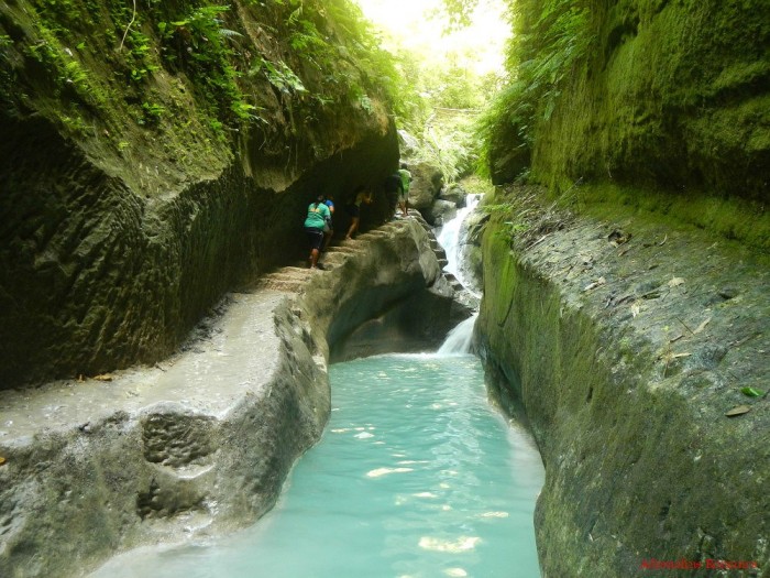 dau