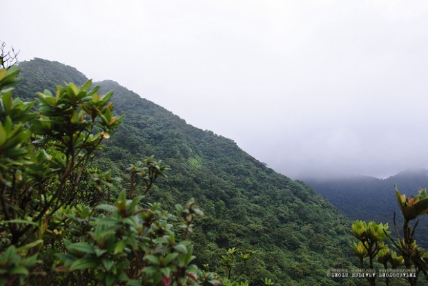 hiking getaways in the philippines