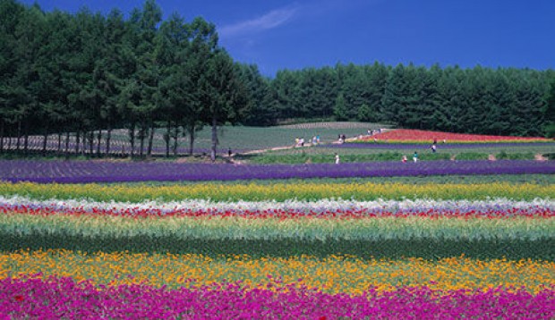 Fly to Japan with Singapore Airlines from SGD 618