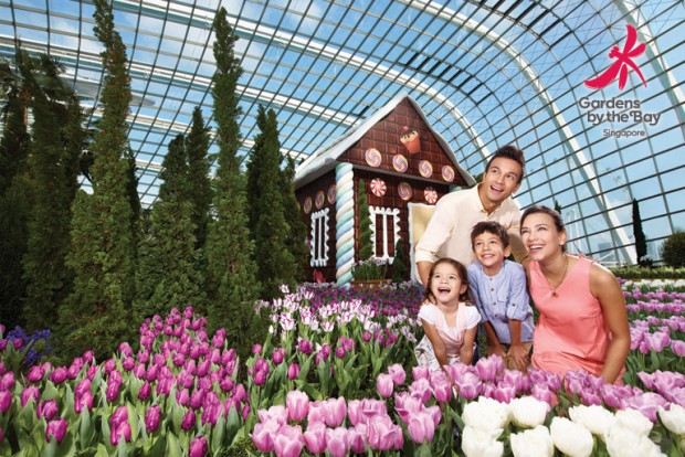 15% Off Admission Tickets in Gardens by the Bay with OCBC Cards
