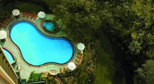 Singapore Orchid Haven from SGD 580 per night!