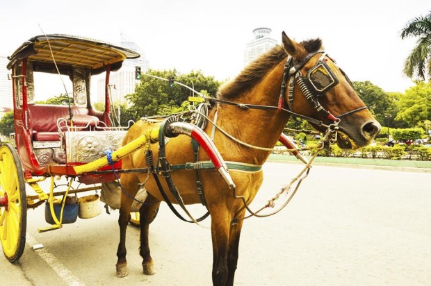 4 Historical Cities on Sale in Zuji from SGD104*