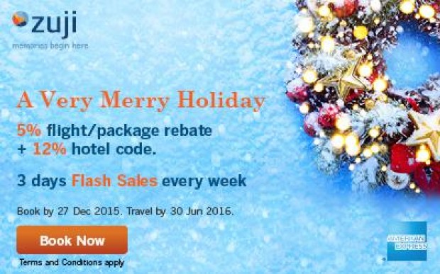 A Very Merry Holiday! 5% Flight and Package Rebate + 12% Hotel Code 1