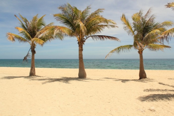 islas de gigantes