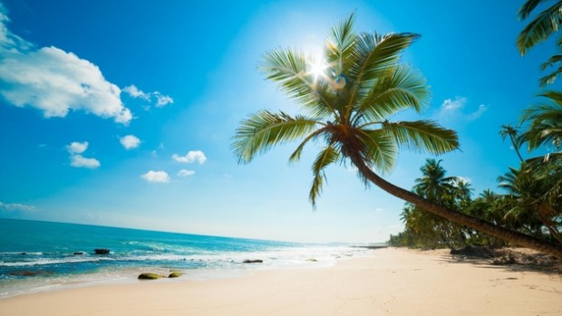 Take a break. Discover more of India