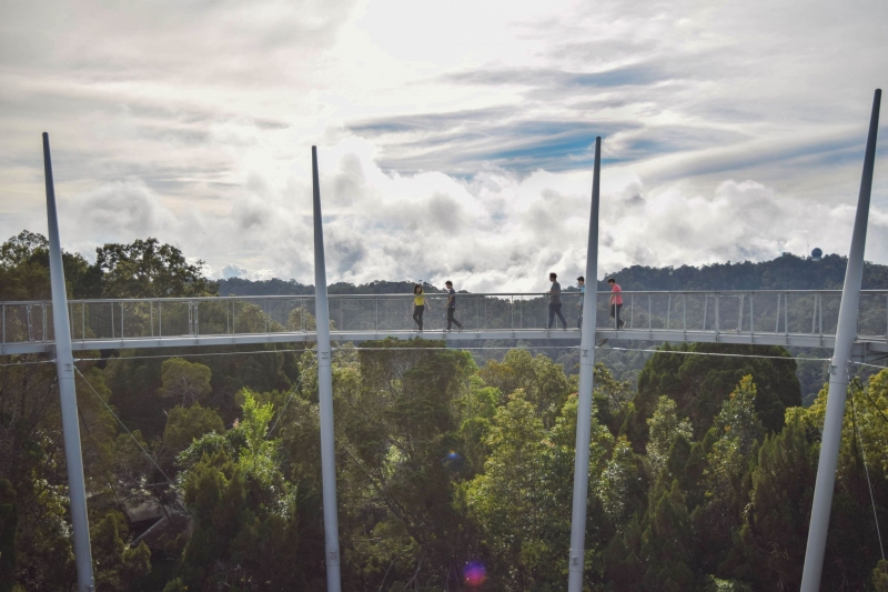 Curtis Crest Tree Top Walk at The Habitat in Penang