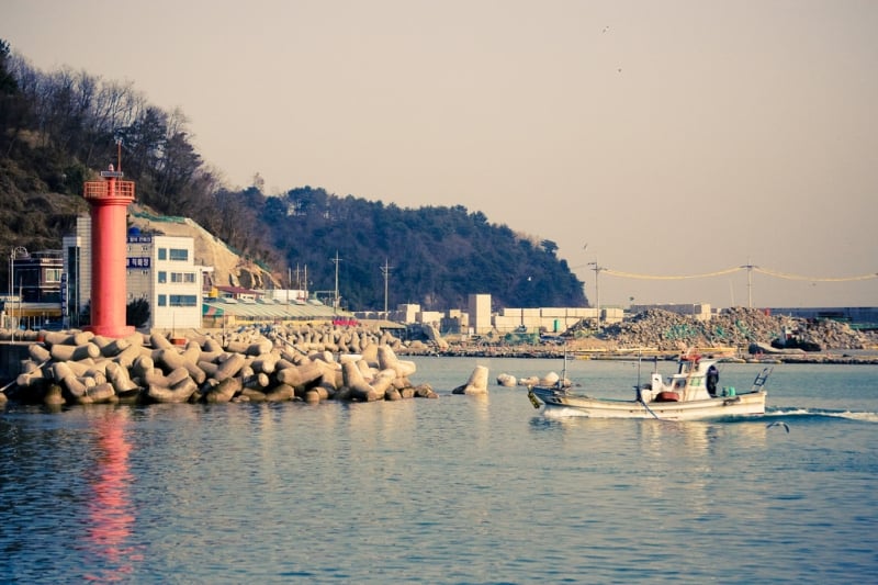 things to do in sokcho