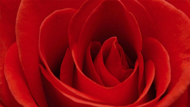 Sense of Romance During your Stay at Banyan Tree Kuala Lumpur