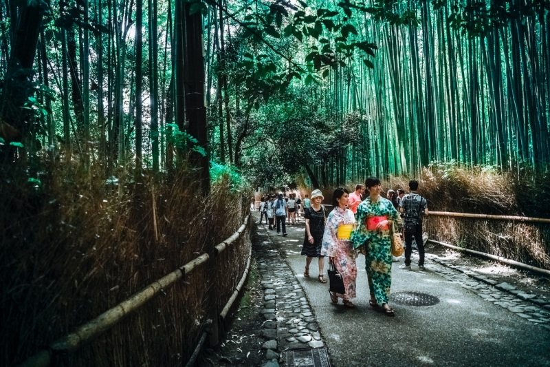 japan travellers