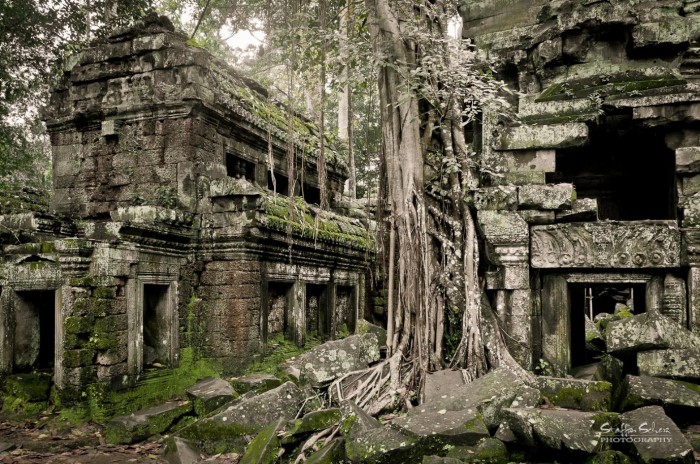 Ta Prohm