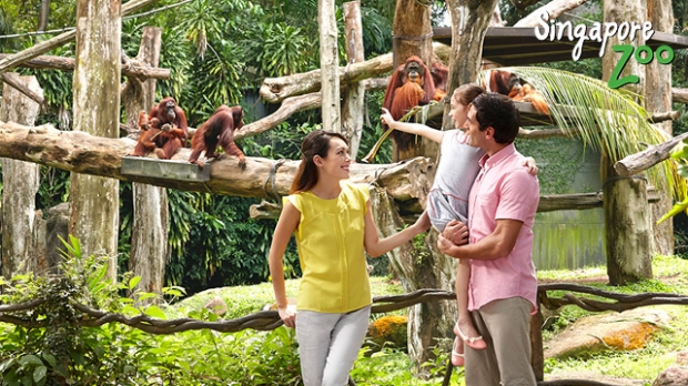 Up to 15% Savings in Singapore Zoo Admission with NTUC