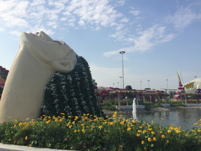 dubai miracle garden