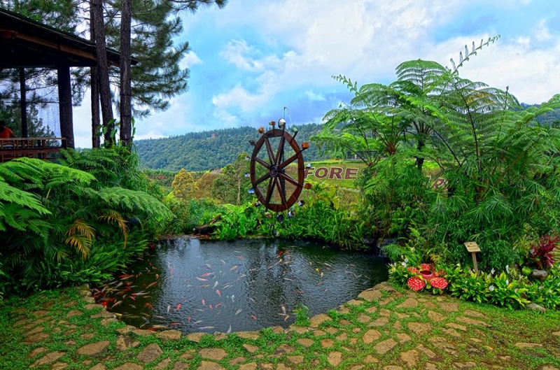 Dahilayan Forest Park Resort