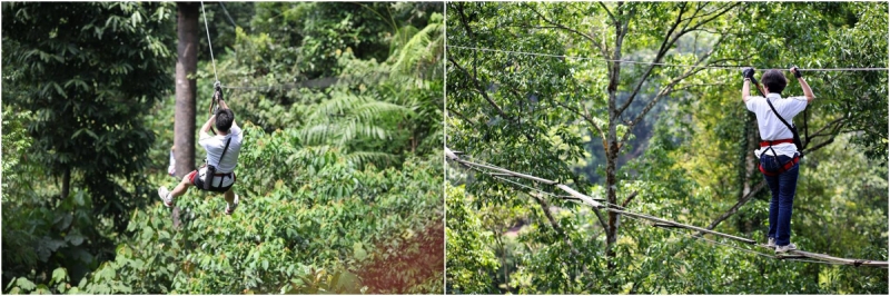 SkyTrex Adventure Langkawi