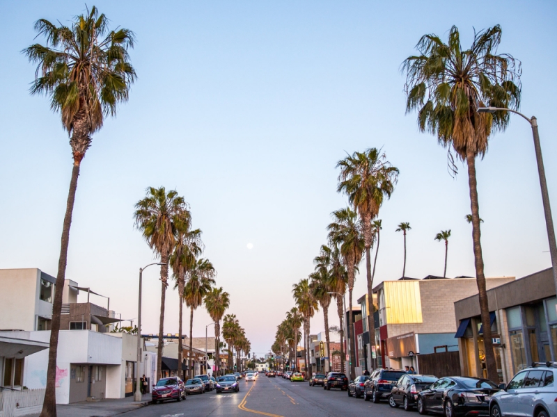 Kinney Boulevard, Best Things to do in Los Angeles