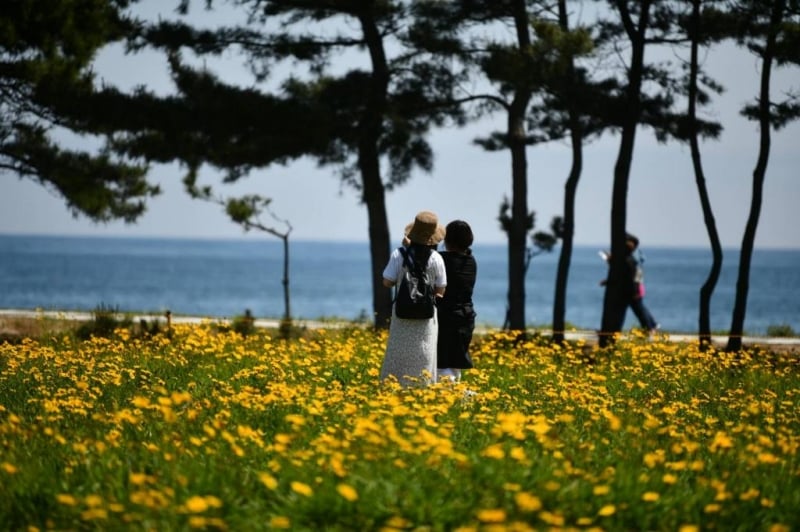 sokcho beach