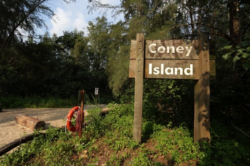 coney island - korea in singapore