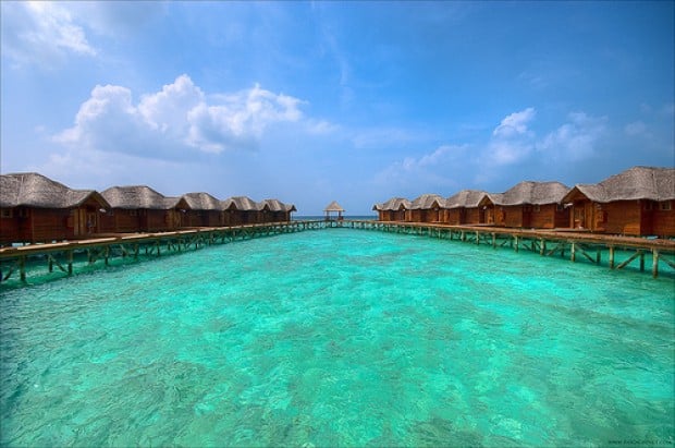 The Maldives