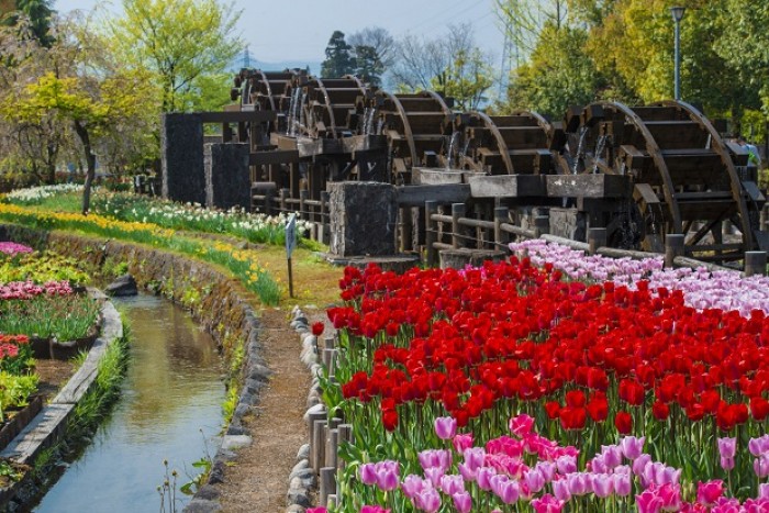 Tonami, Japan