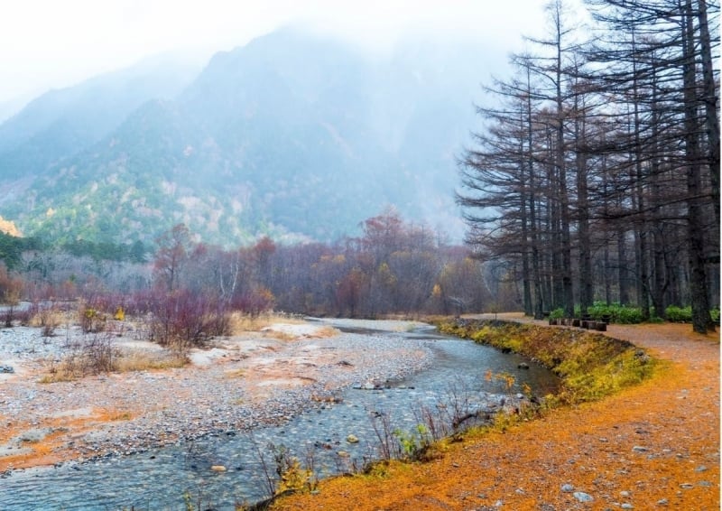 Japan autumn forecast