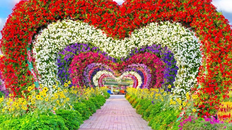 dubai miracle garden