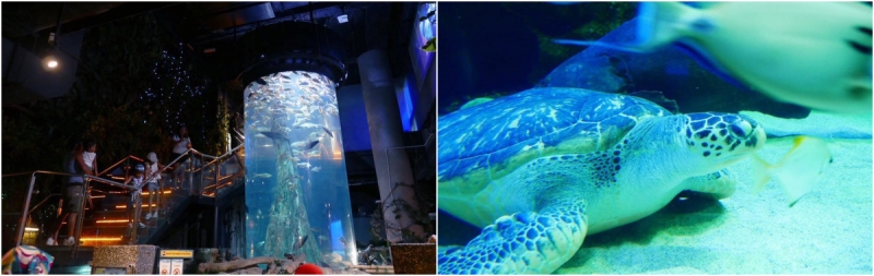 Aquaria KLCC