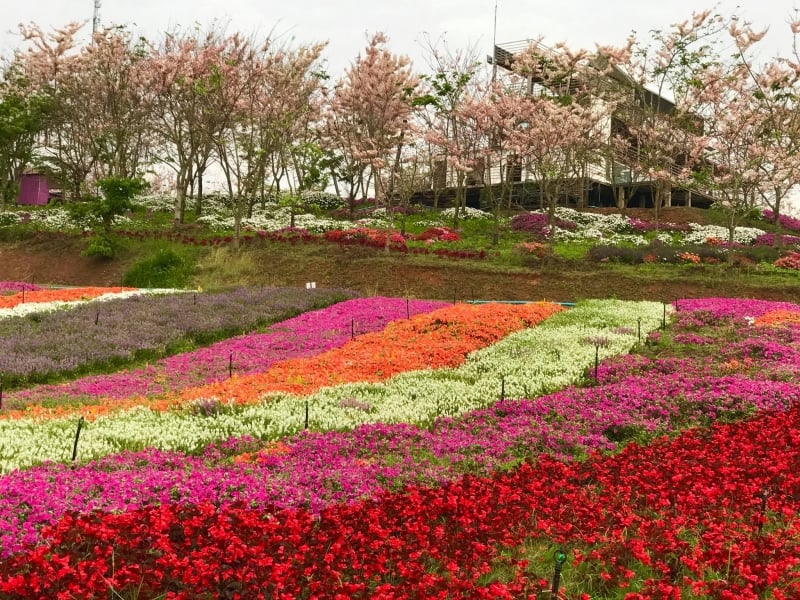 flora park thailand