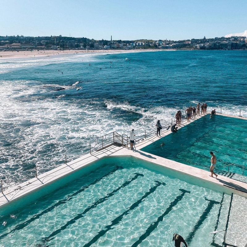 bondi icebergs