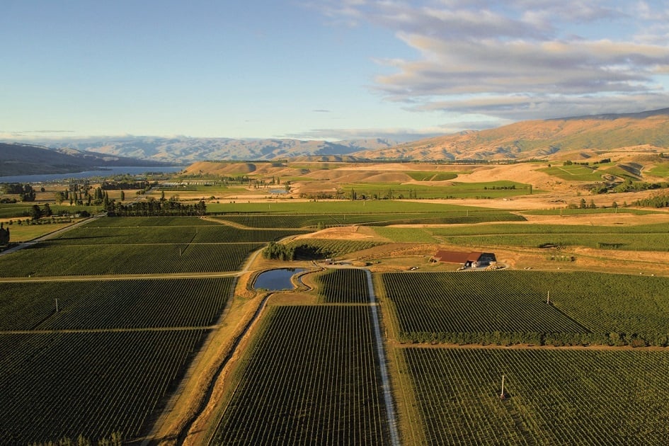 Amisfield Estate, Central Otago