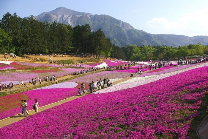 hitsujiyama park