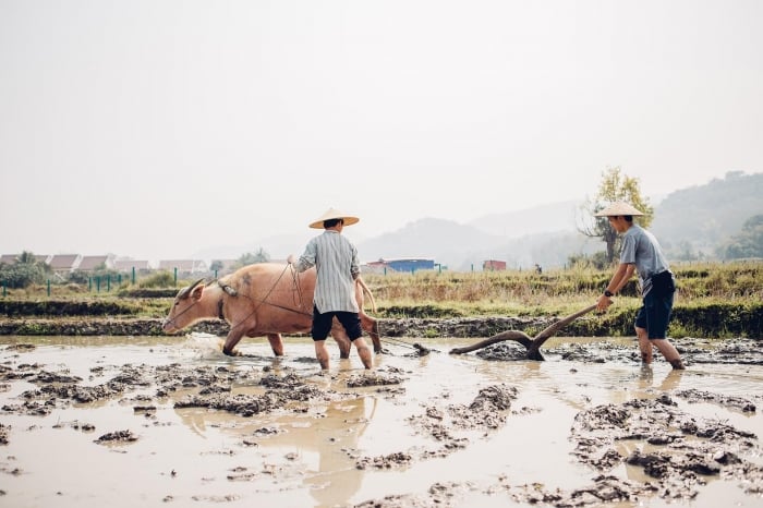 things to do in luang prabang