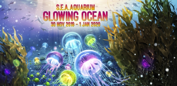 S.E.A. Aquarium Glowing Ocean Family Bundle at SGD90