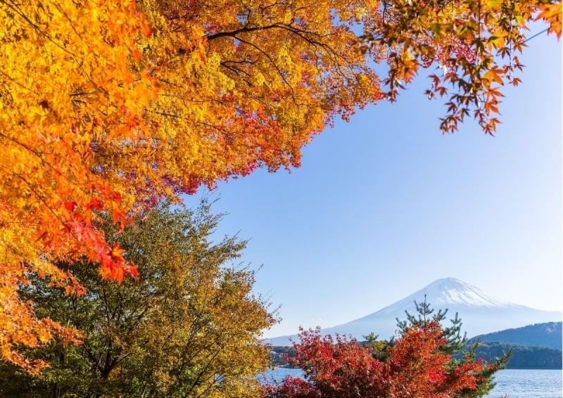 Lake Kawaguchi area