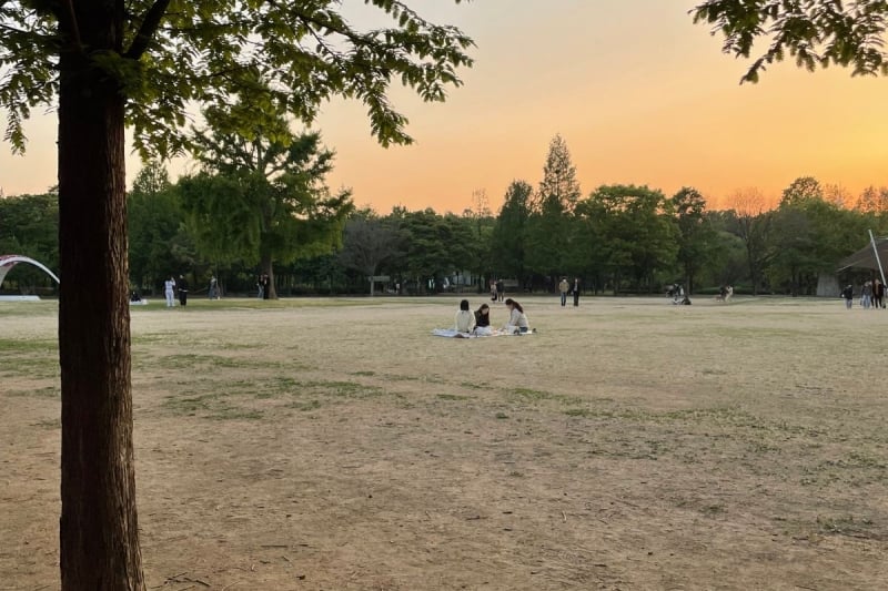 seoul forest