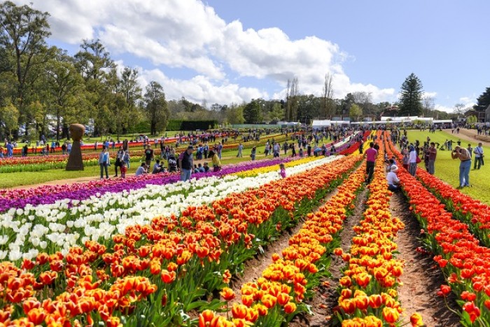 Yarra Valley and Dandenong Ranges, Australia