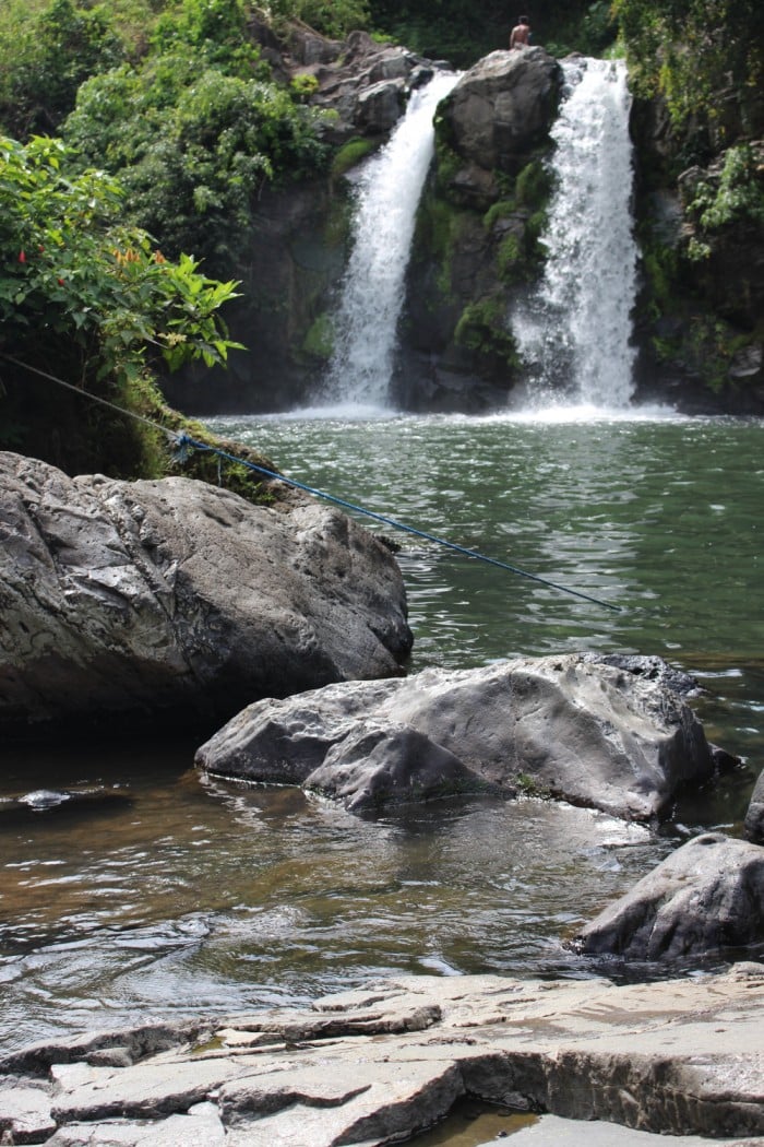 Bunga Twin Falls