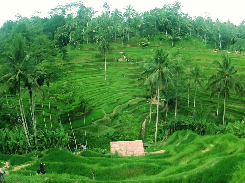 bali yogyakarta kuala lumpur