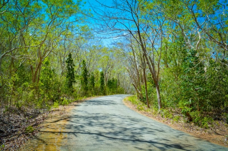 Salagdoong Forest Reserve