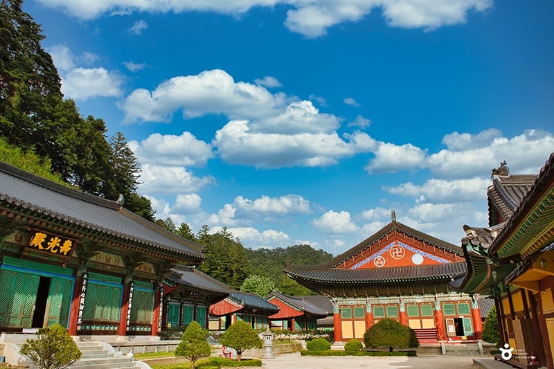 woljeongsa temple