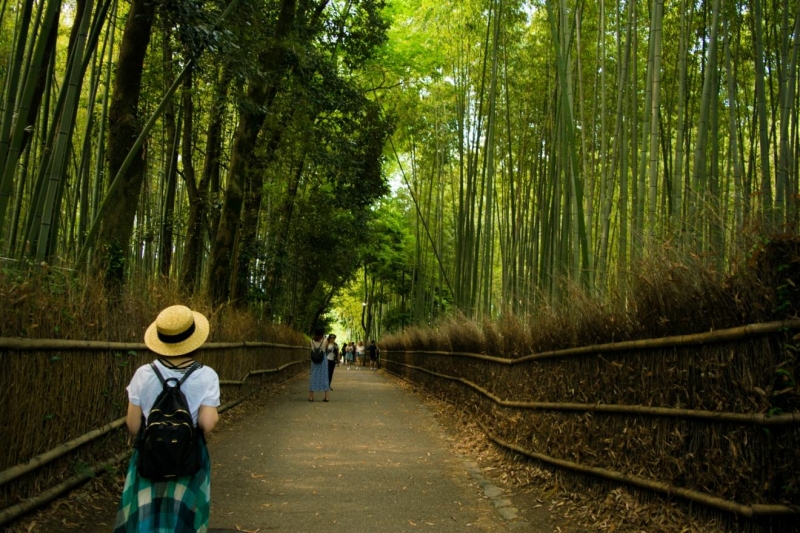 kyoto photos