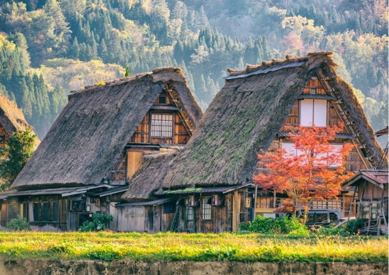 Japan autumn forecast