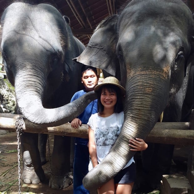 Nên làm ở Chiang Mai: Được voi ôm