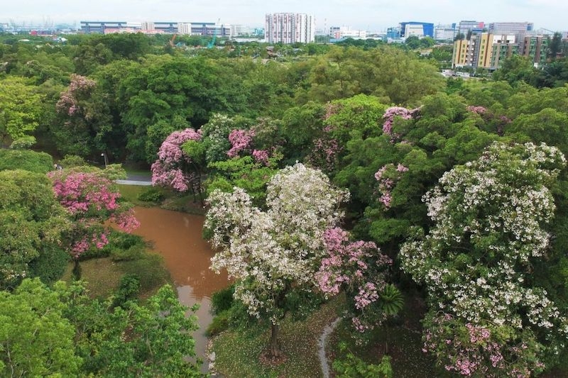 singapore parks