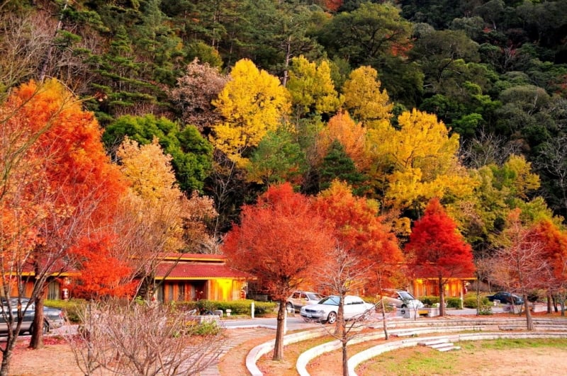 autumn in asia