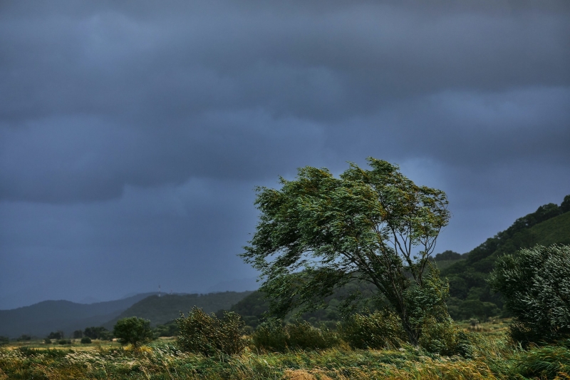 Typhoon season