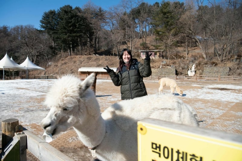 gangwon winter itinerary