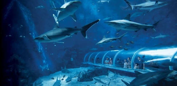 Special Offer in Resorts World Sentosa for an Under the Sea Exploration with MasterCard