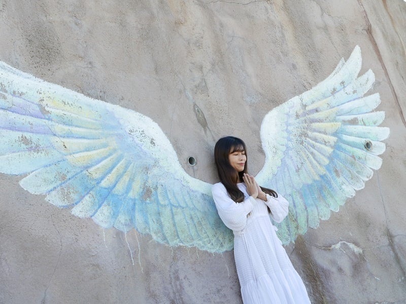 Angel wings at Palm Beach the Gardens in Kyushu, Japan